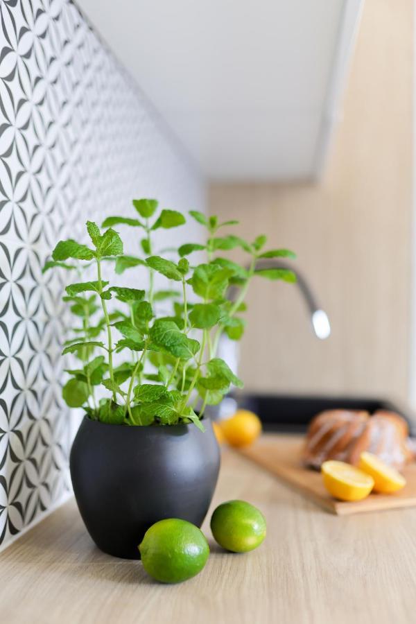 Apartamenty Meiera Krakov Exteriér fotografie